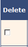 delete record checkbox